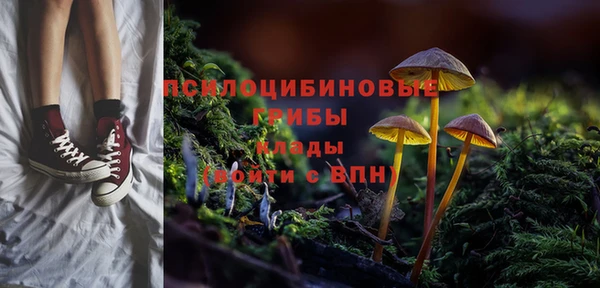 гашиш Пересвет