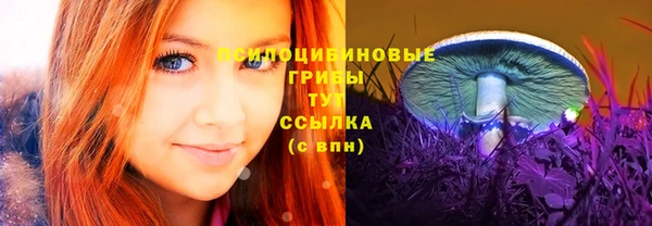 дурь Абаза