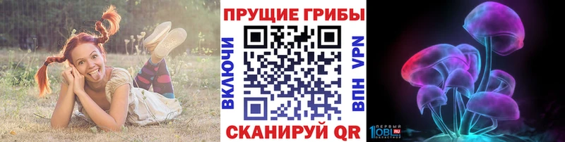 где можно купить   Кисловодск  Псилоцибиновые грибы ЛСД 